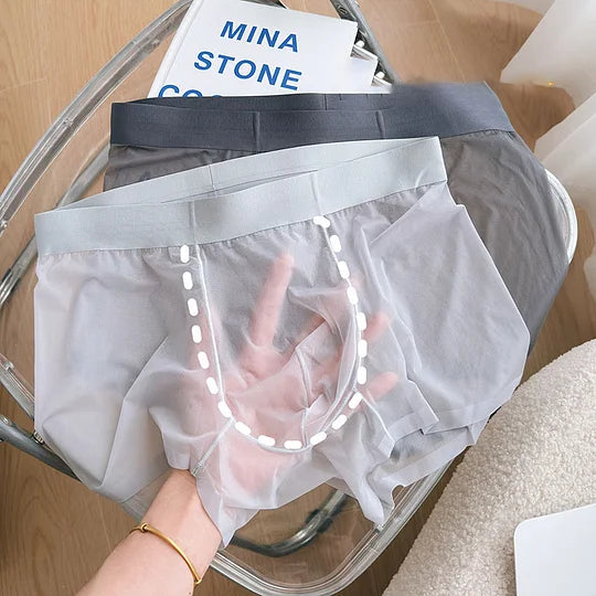 8 PCS Men Ice Silk Antibacterial Boxer Briefs